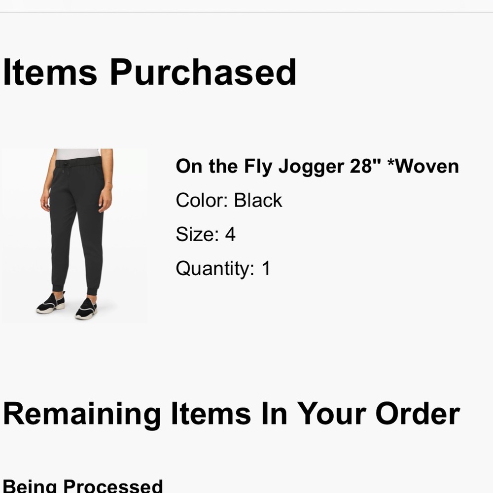 On The Fly Jogger